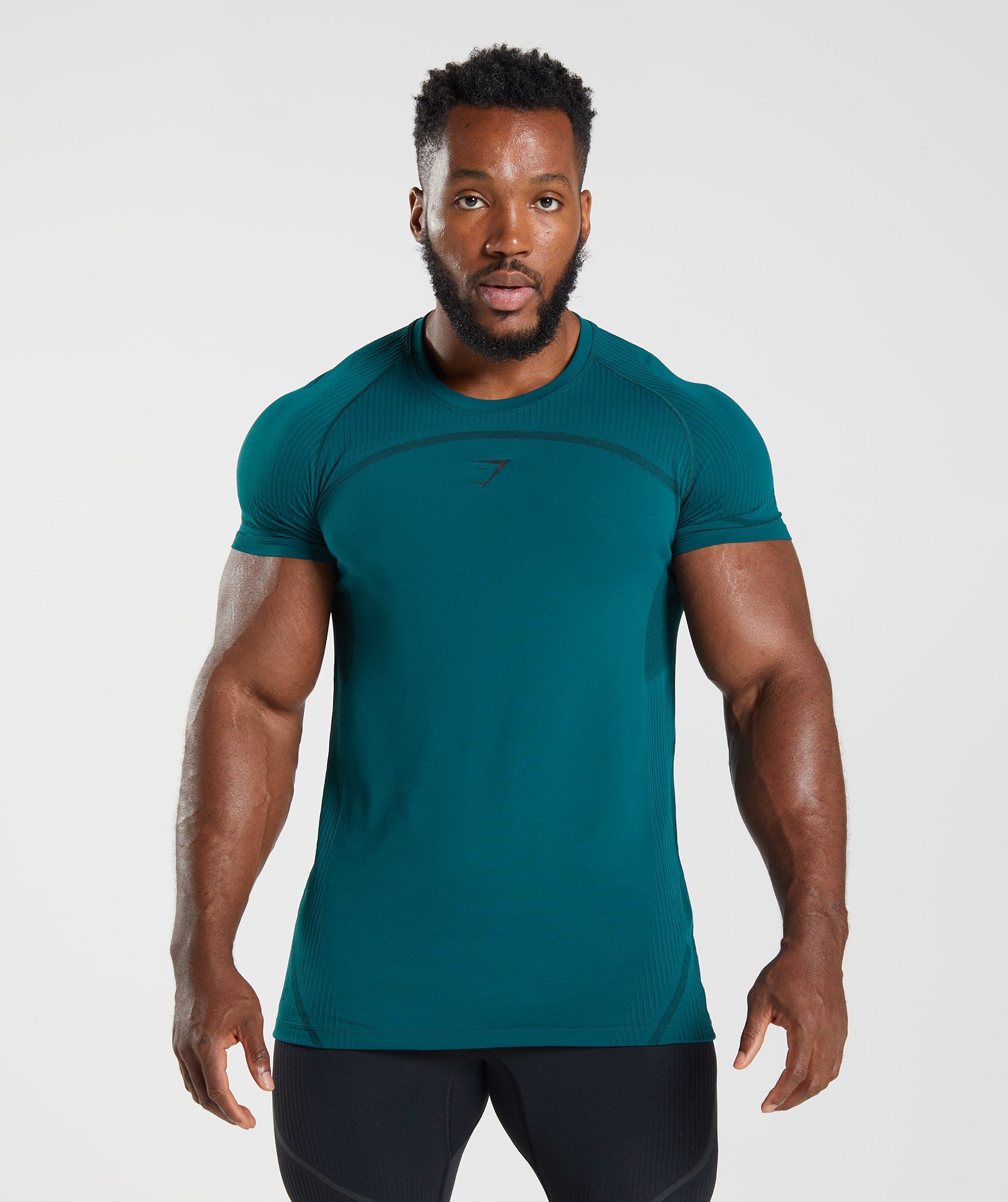 Turquoise Men's Gymshark 315 Seamless T Shirts | WLQFSV-273