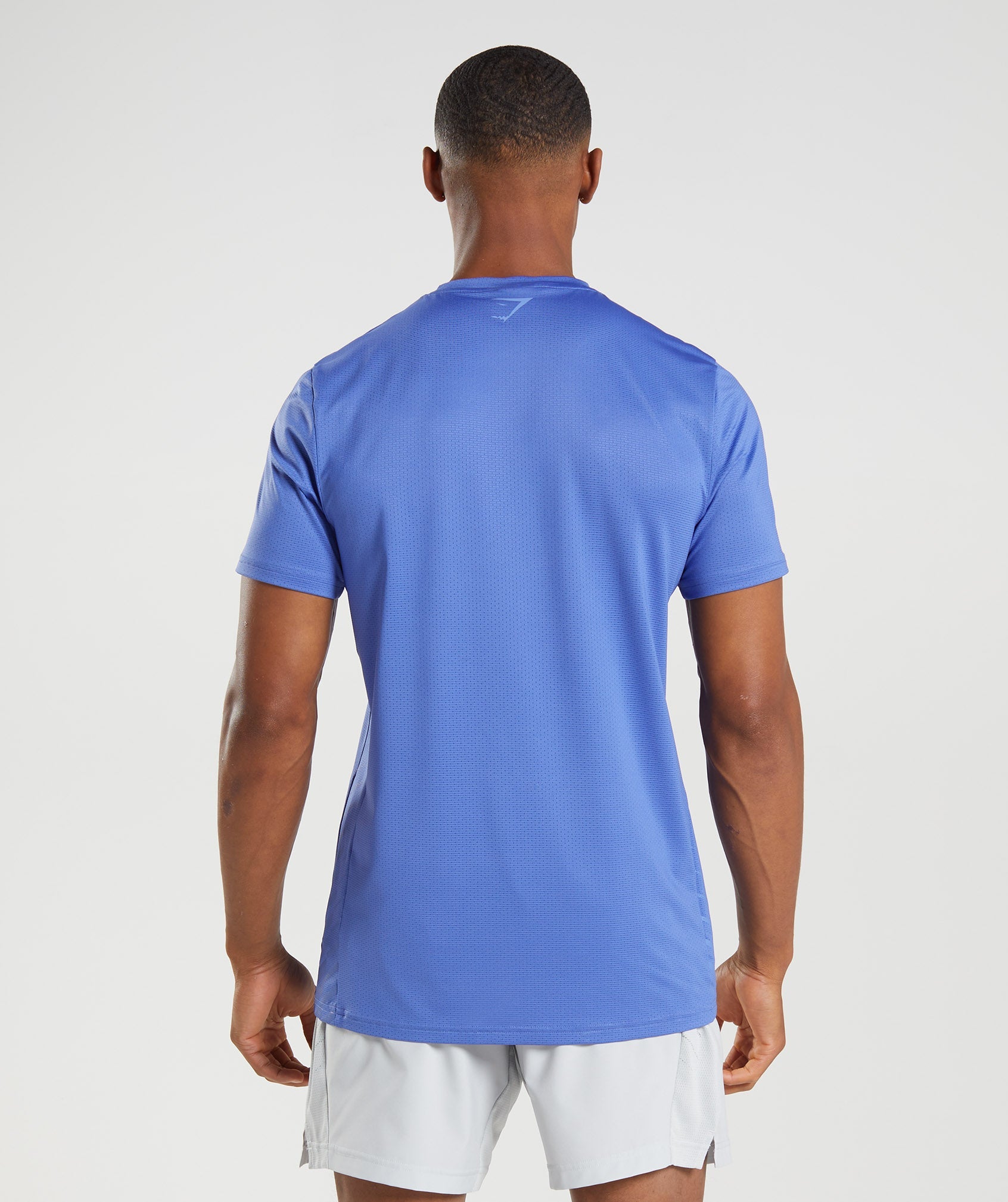 Blue Men's Gymshark Sport Stripe T Shirts | XBTJML-024