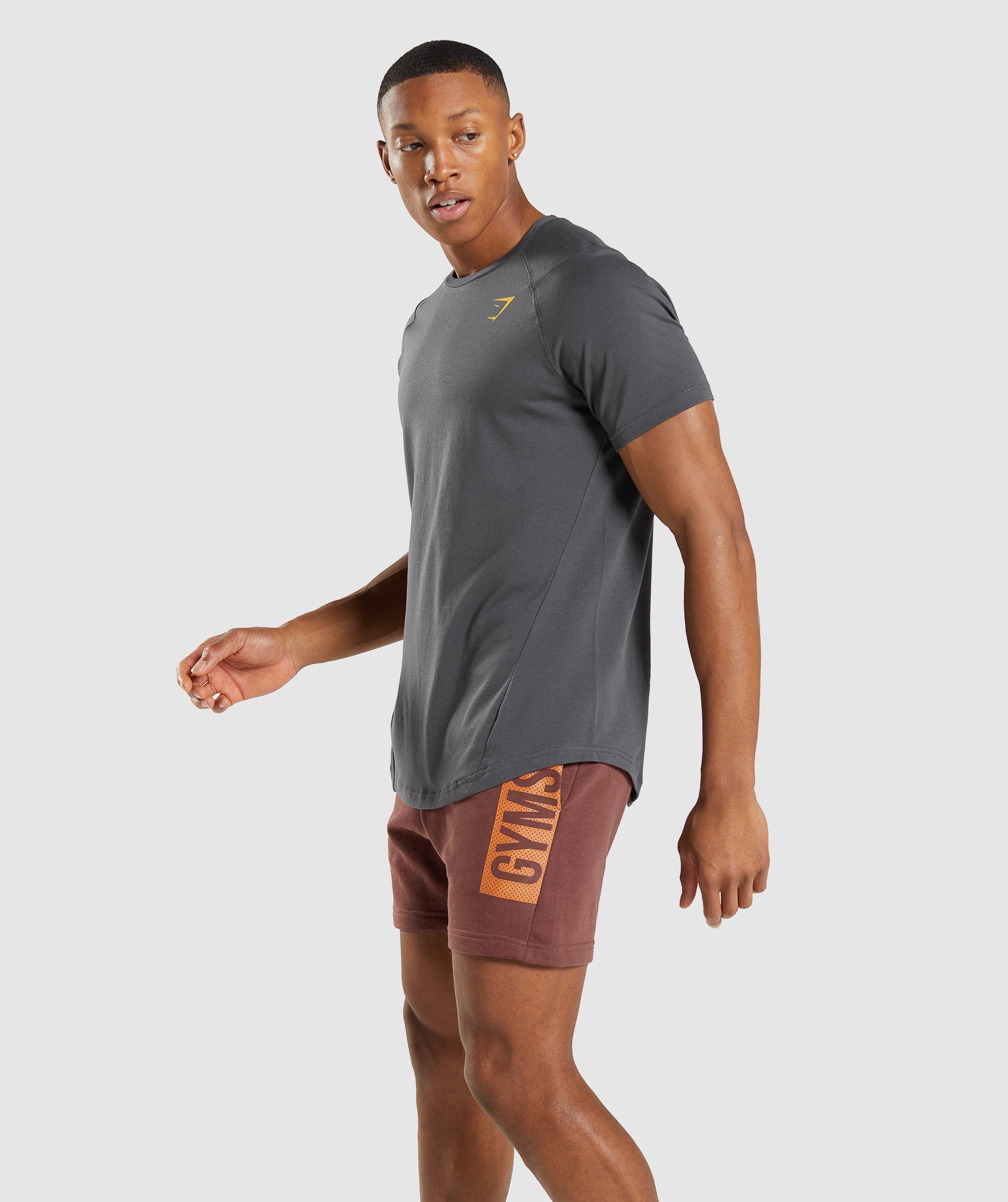 Grey Men's Gymshark Bold T Shirts | ECZGSK-193